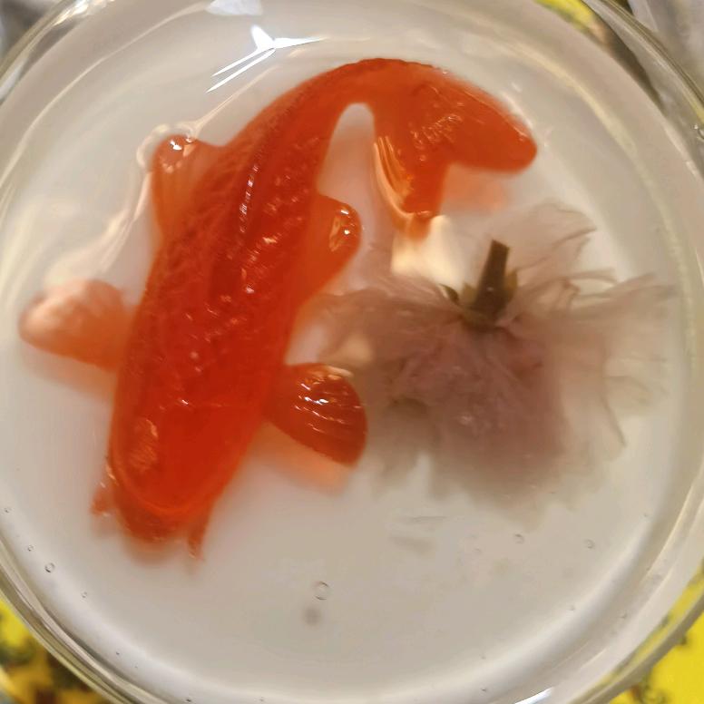 麻杆