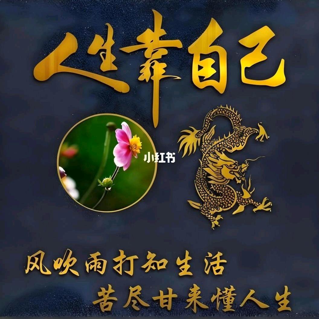 猪一样的队友！狼一样的对手！！！