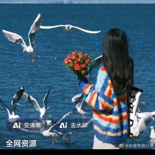 大樱桃🍒九凤村～宝鹏林果家庭农场