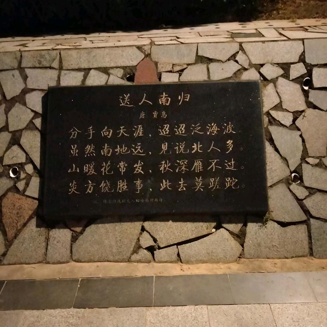 六枝夕夏