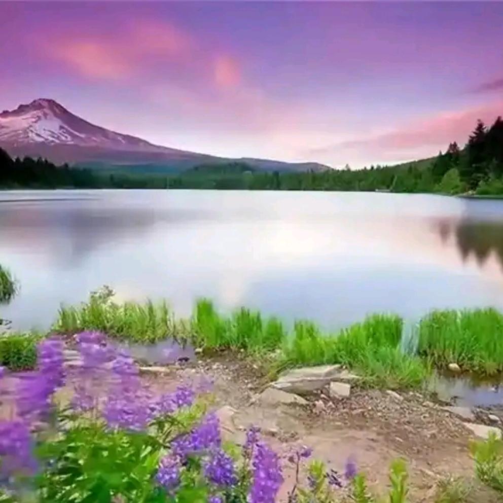 朝着阳光走