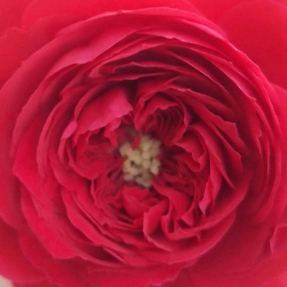 好孩纸_255626356