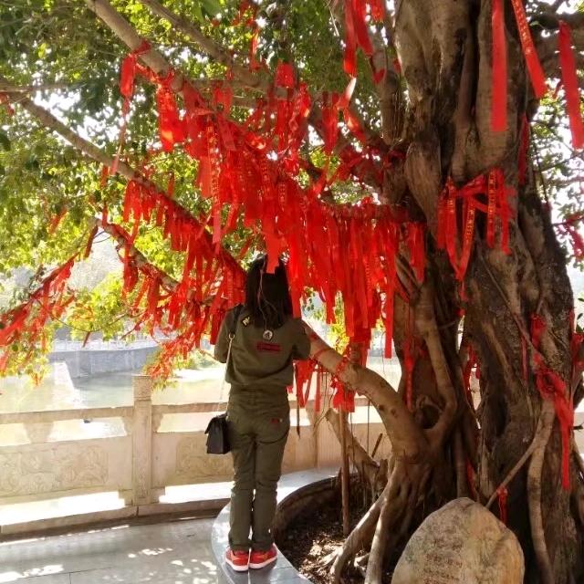 ((🍁静观其变🍁))