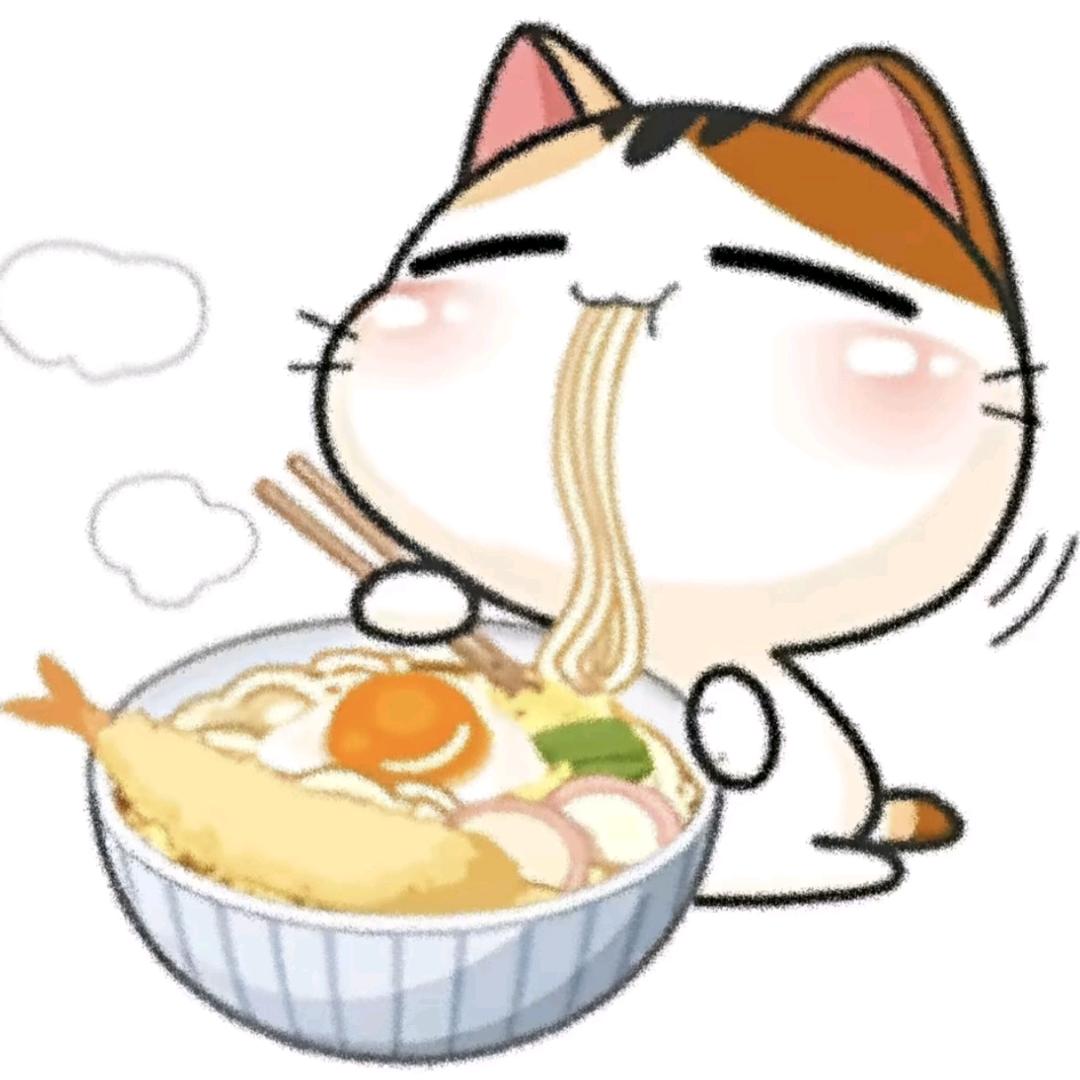 狸猫