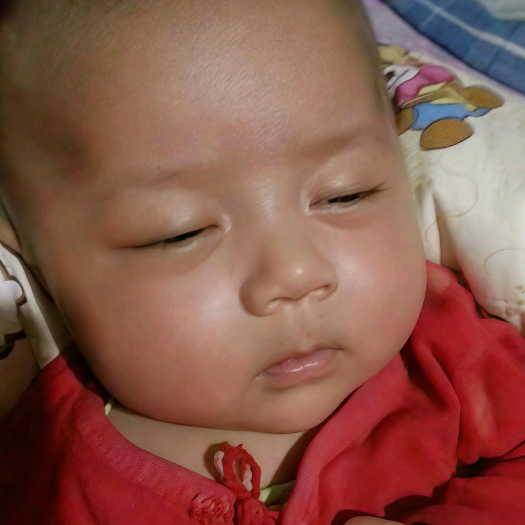 橘子吖