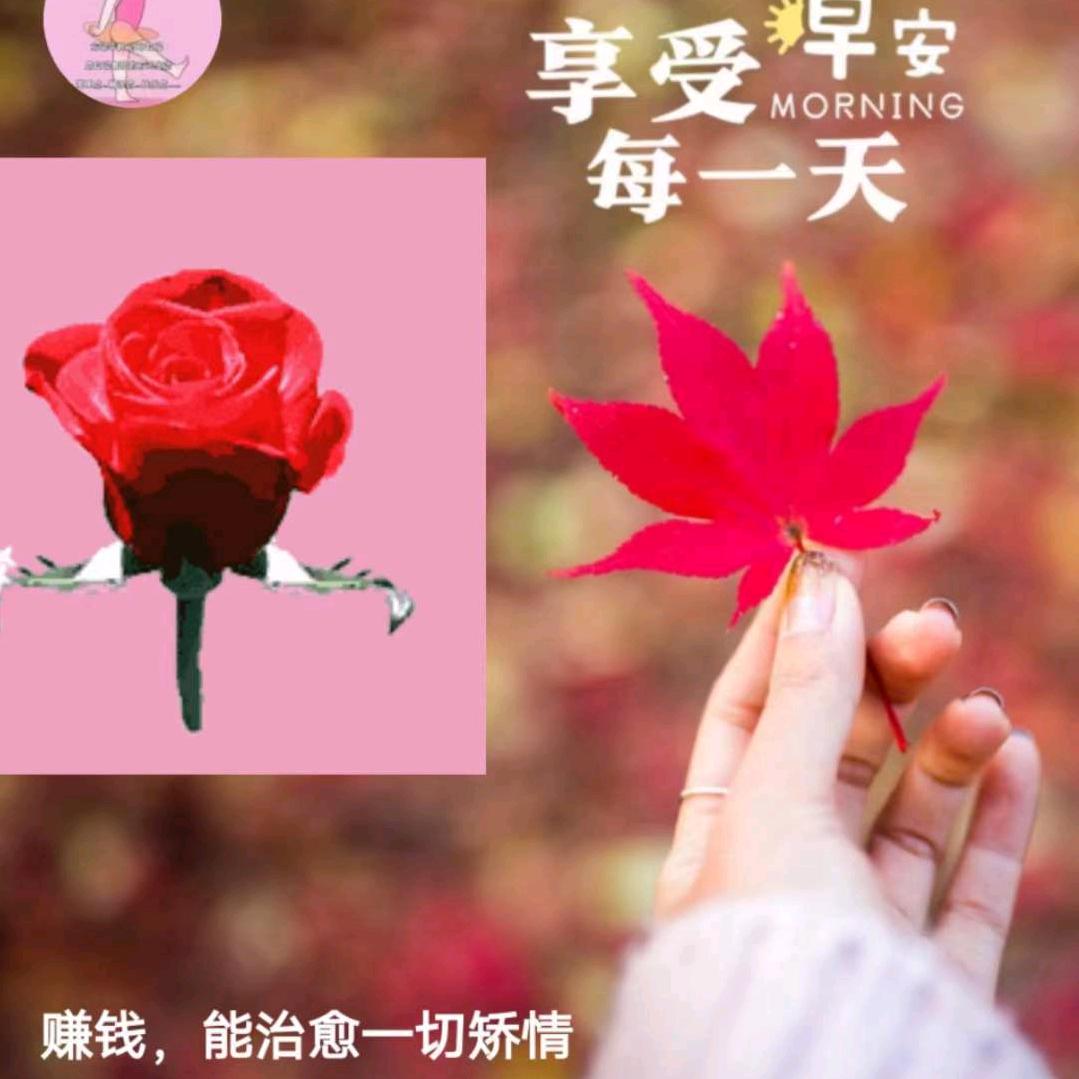 用户36046176头像