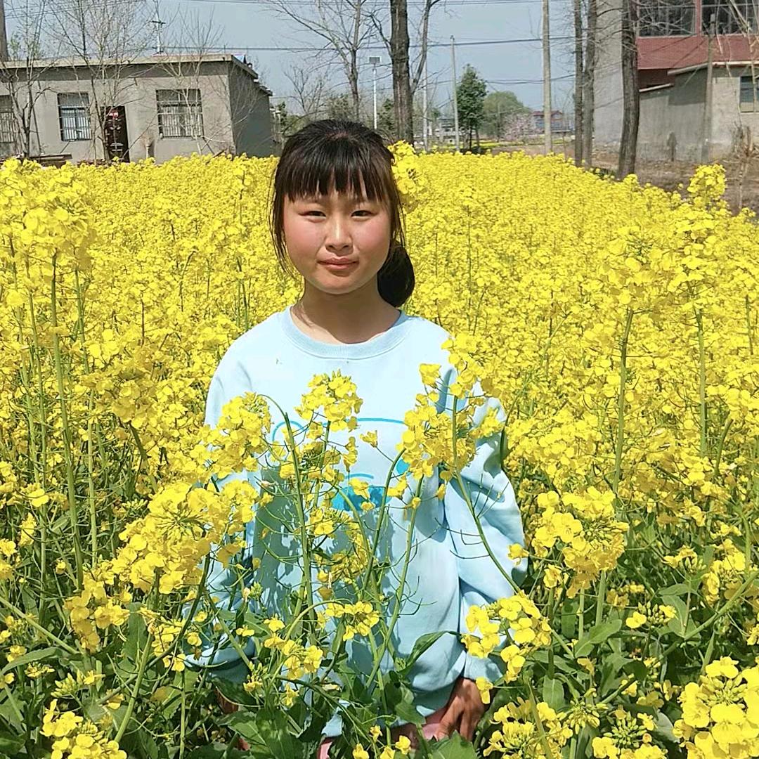 等会告诉你