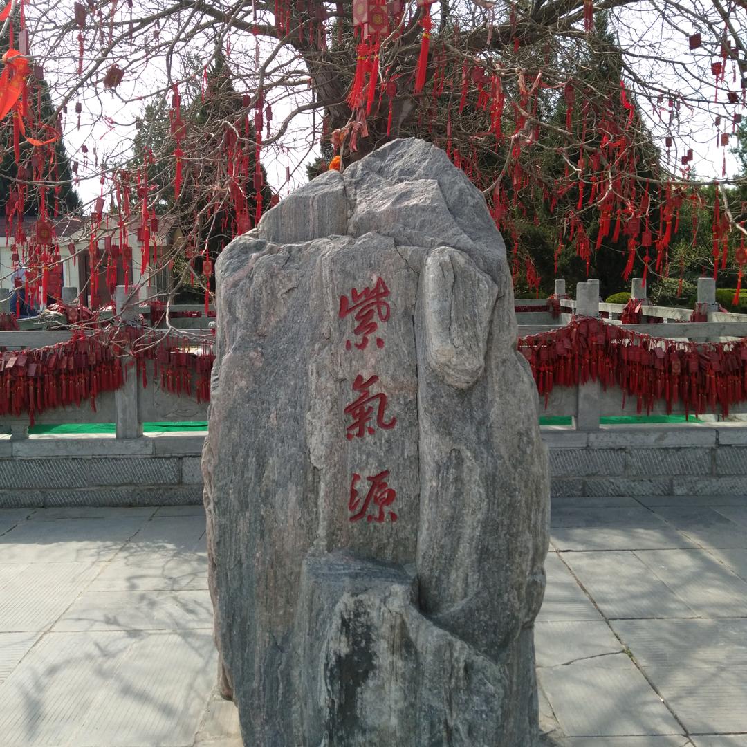 岂求