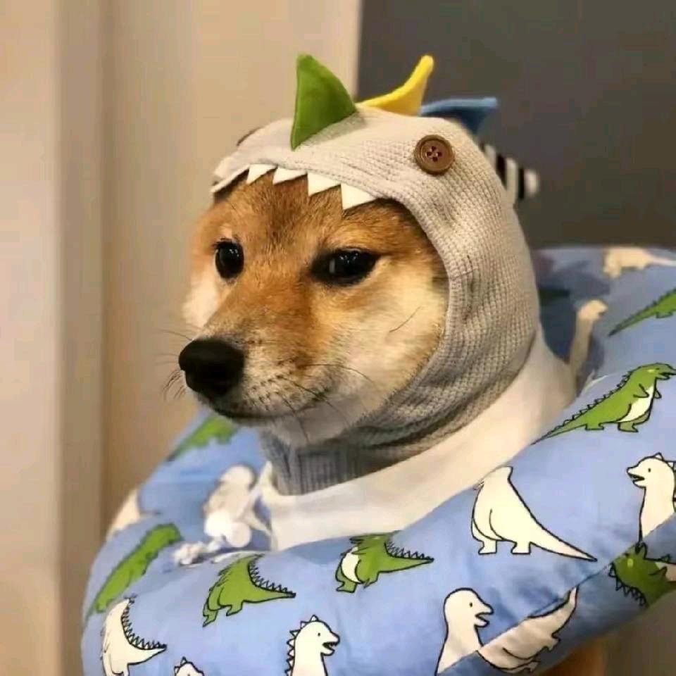 小红薯