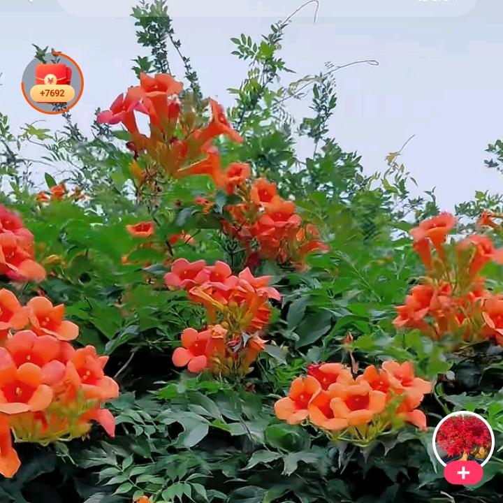 杨占荣