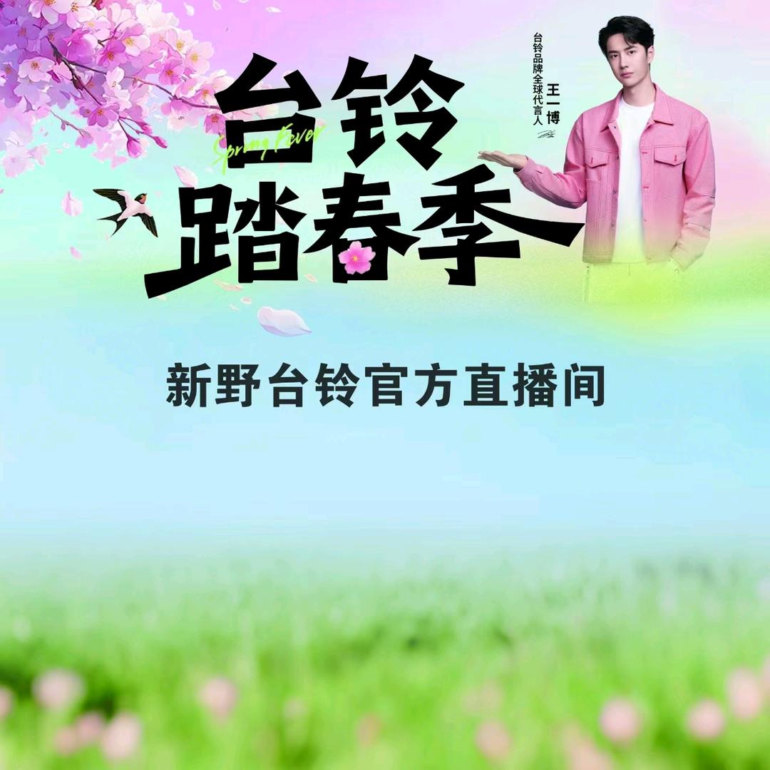 新野台铃电动车《和平鸽》