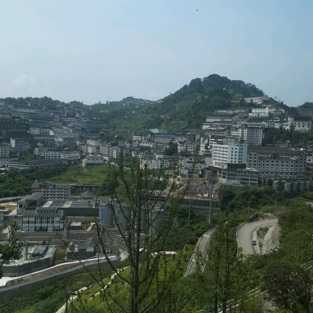 皖溪盛景王伟
