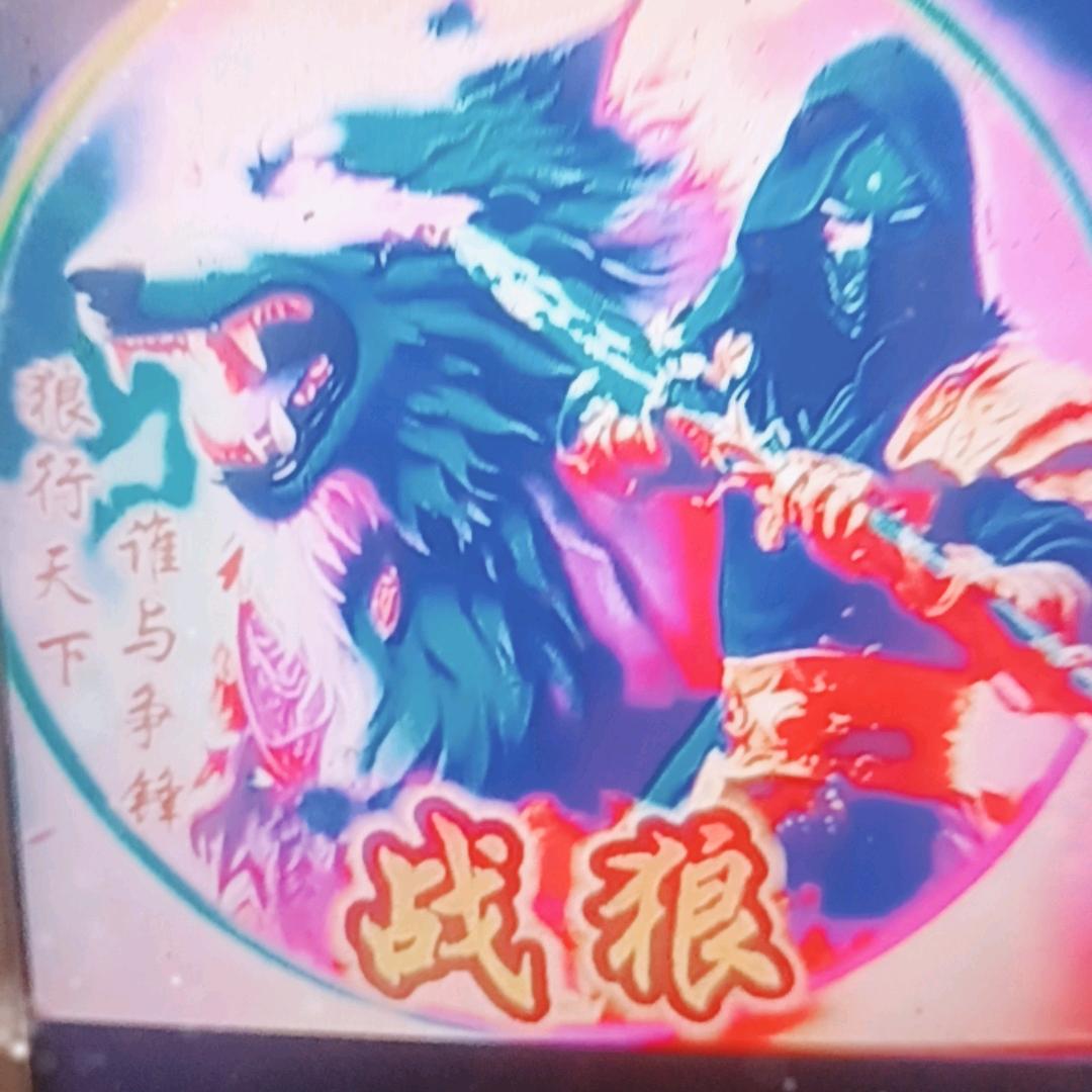꧔᭄战狼💞⃝⃝ꫛꫀꪟ꧔᭄独一无二