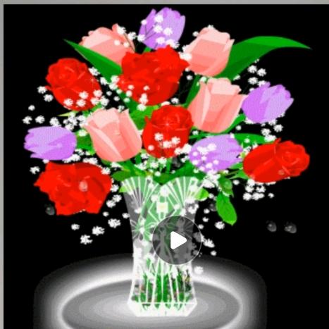 余大姐:回赞不回关。