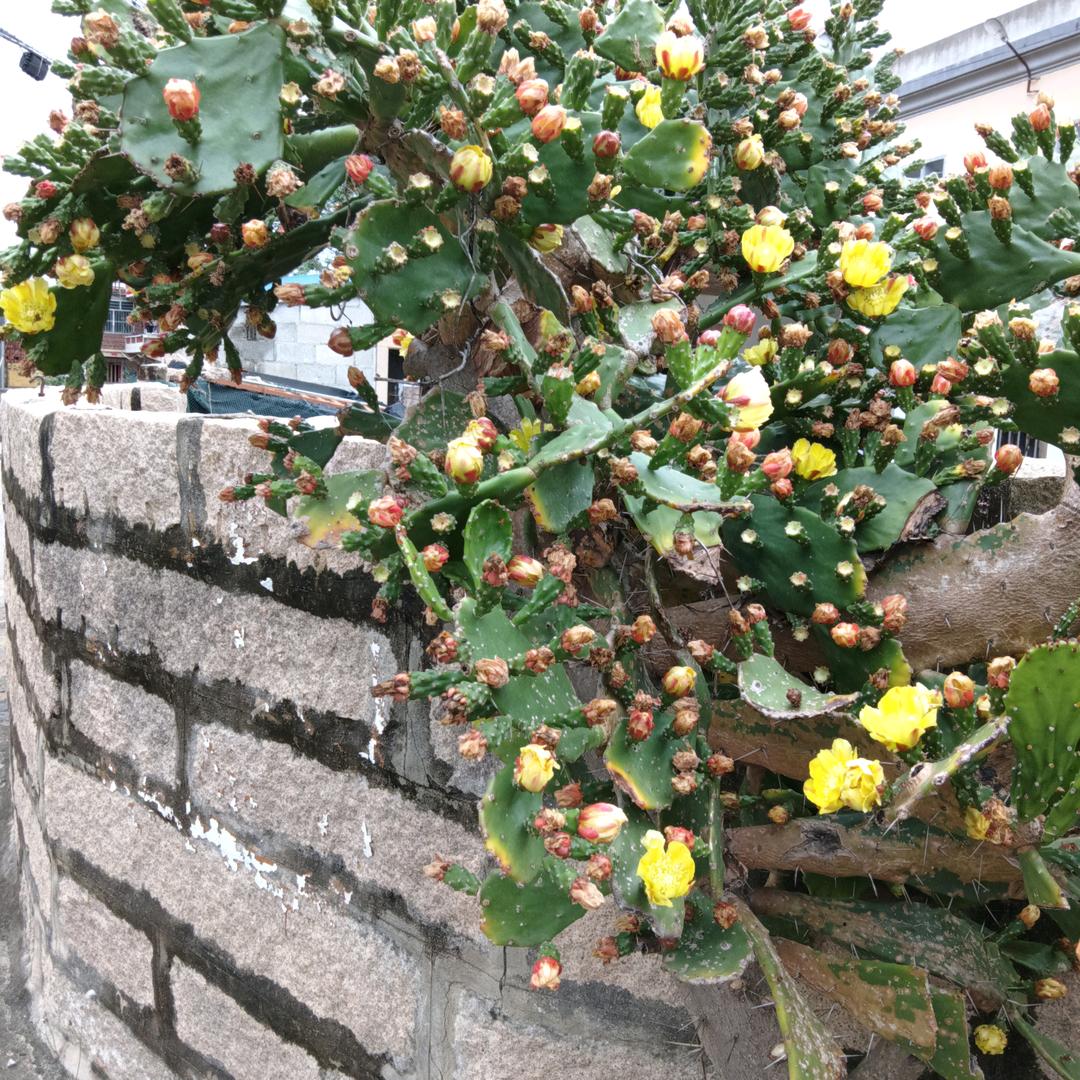 老了70后时光不在轮回