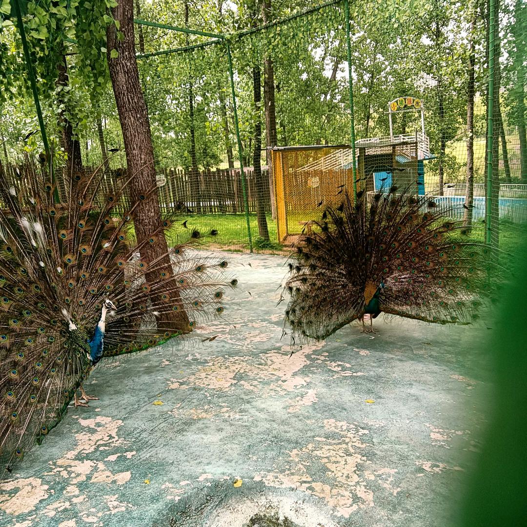 💞小拾♠️光💞