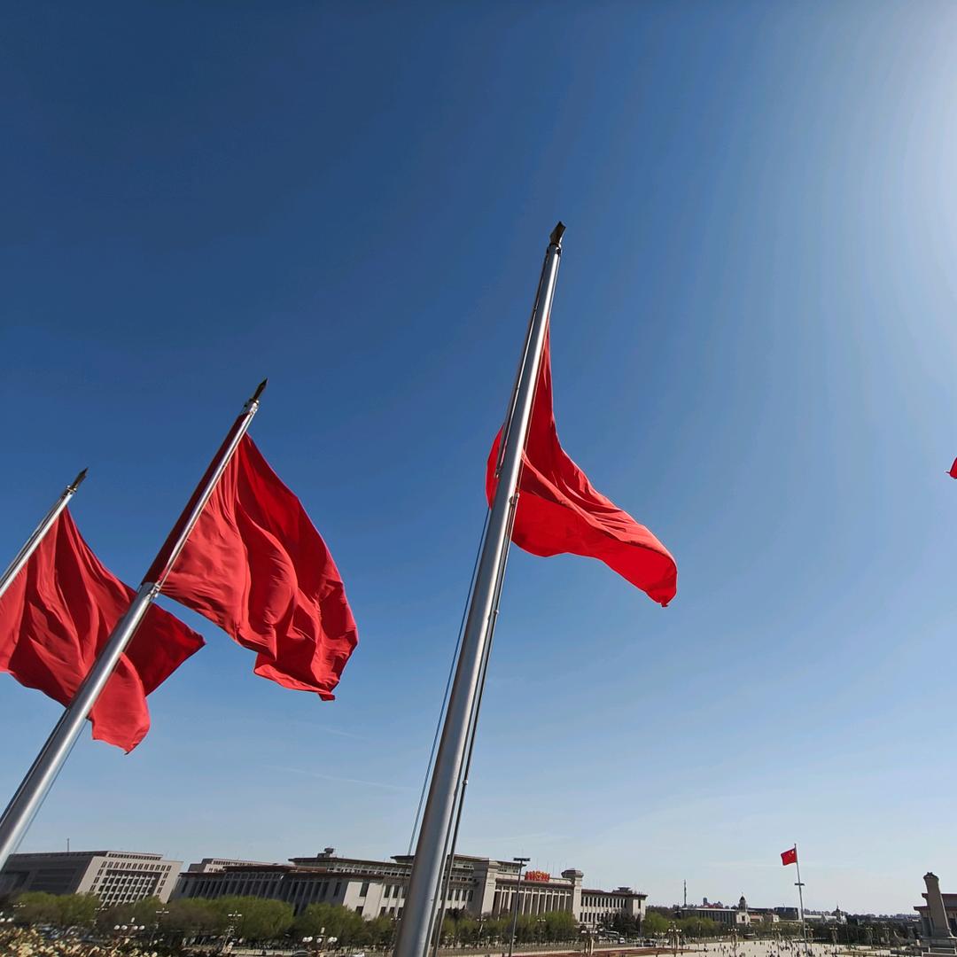 大树