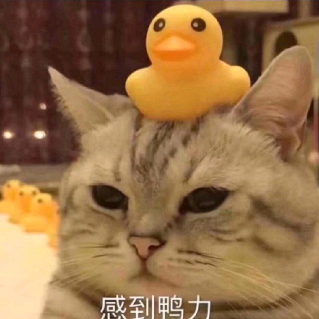 牛奶秋刀鱼𓏸 𓂂 𓈒 🐟