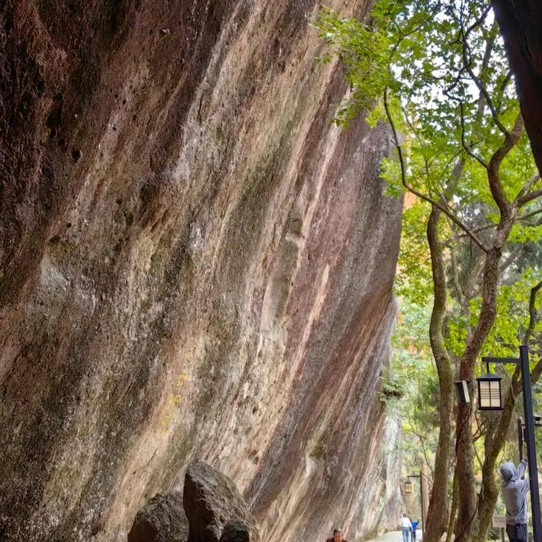 人生轨迹《逍姚自在》