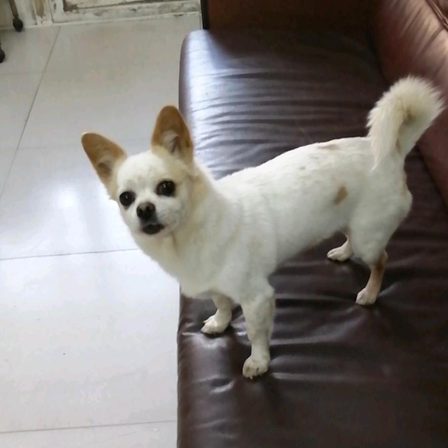 领先美发