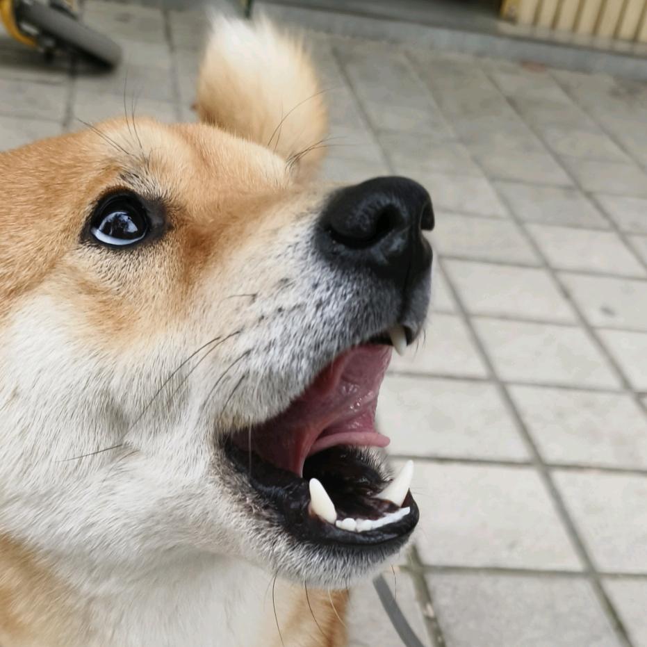 他们都叫我三哥