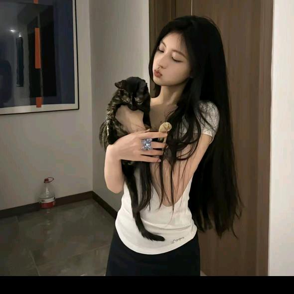 馋嘴小小猫