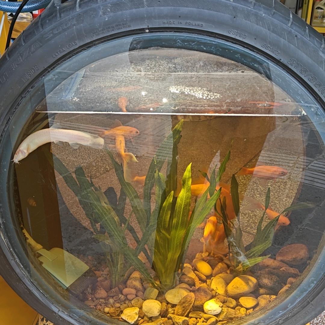 蓝水晶