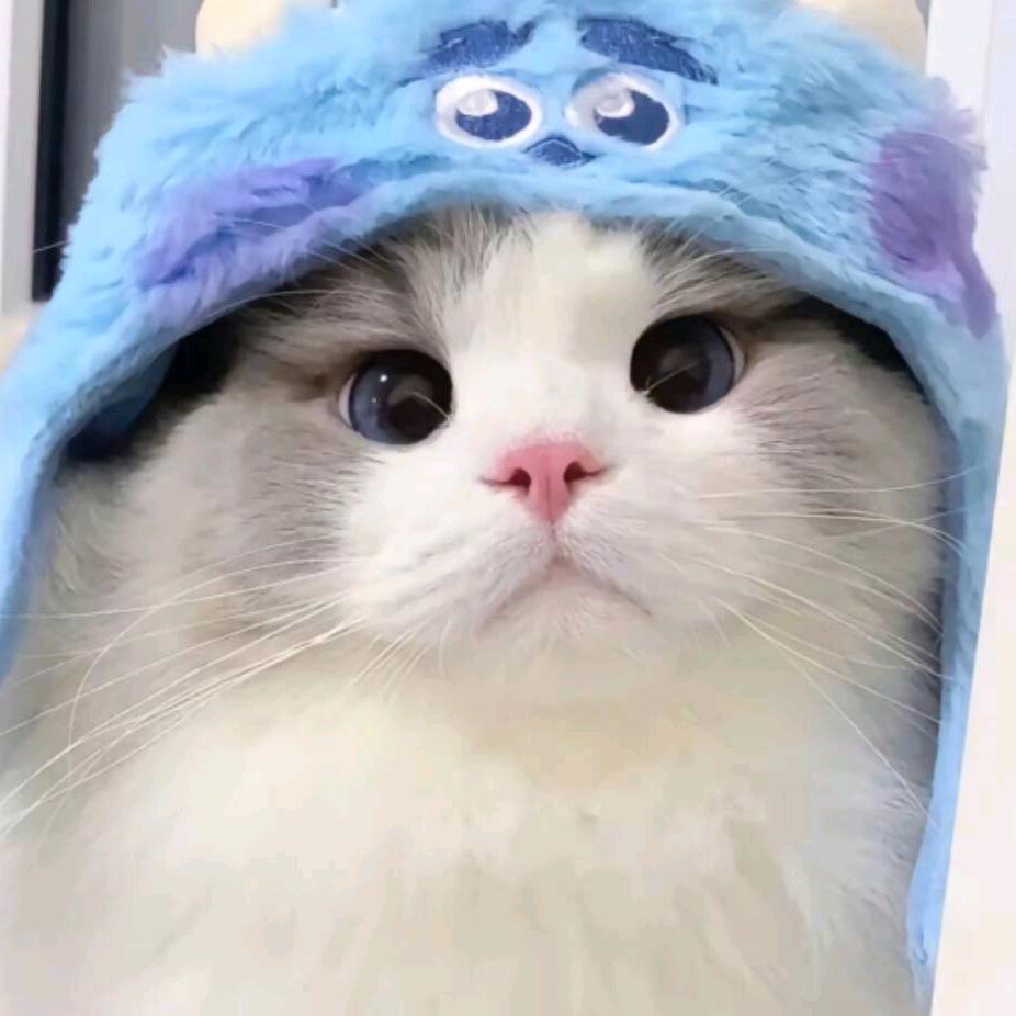 空白爱吃小笼包