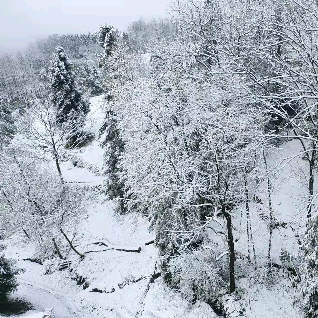 龚向碧