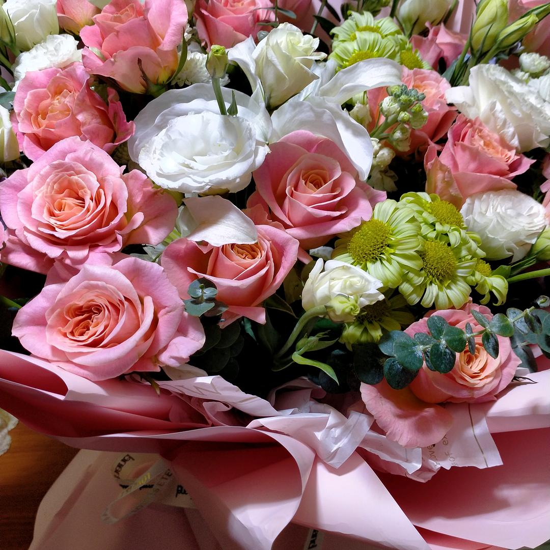 红玫瑰🌹（承蒙厚爱）