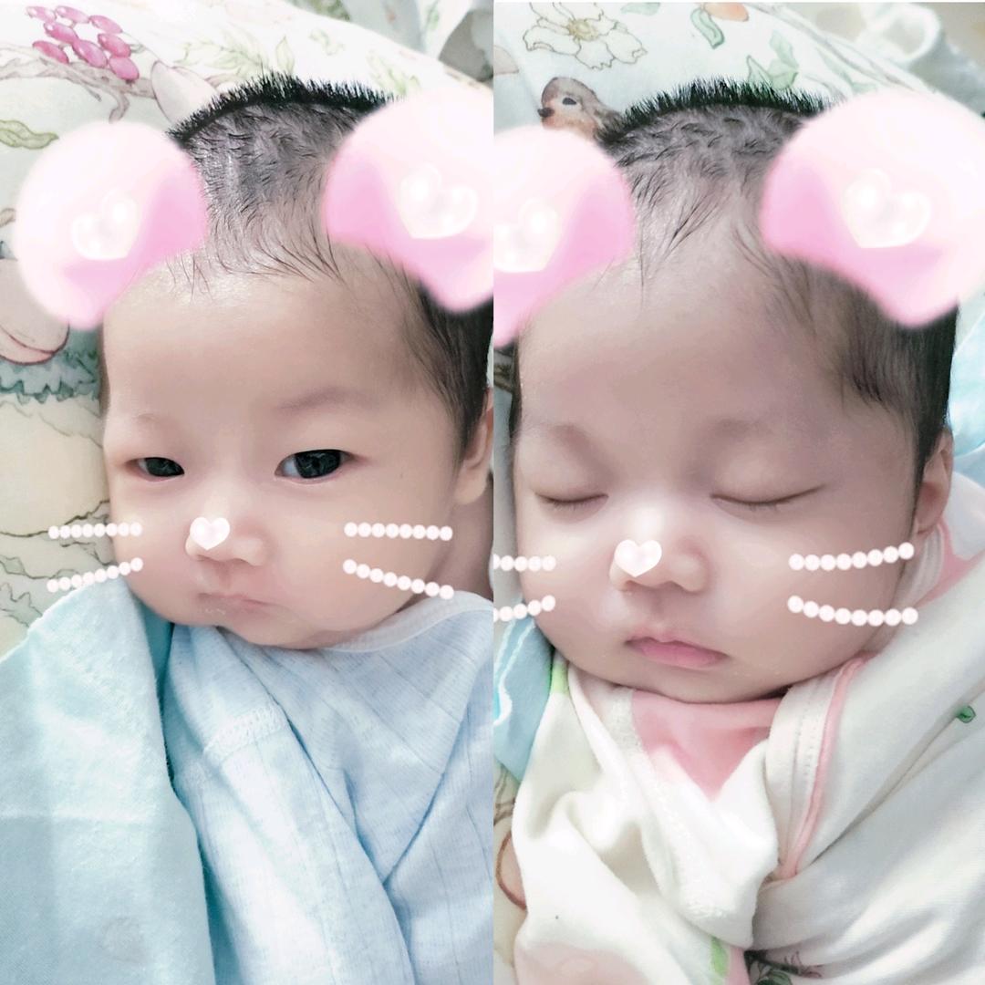 大喜宝与小乐宝