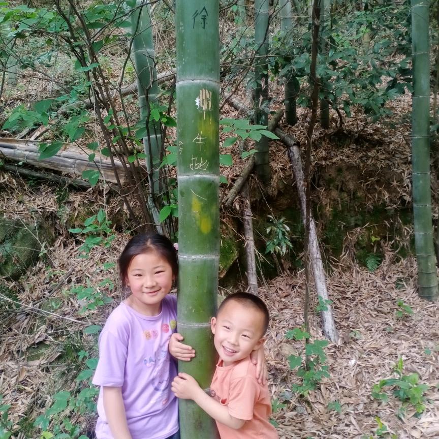 哭泣的百合花