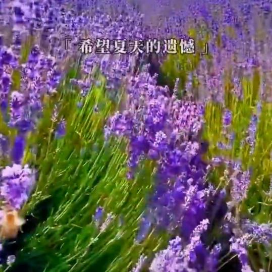 今非昔比274814197