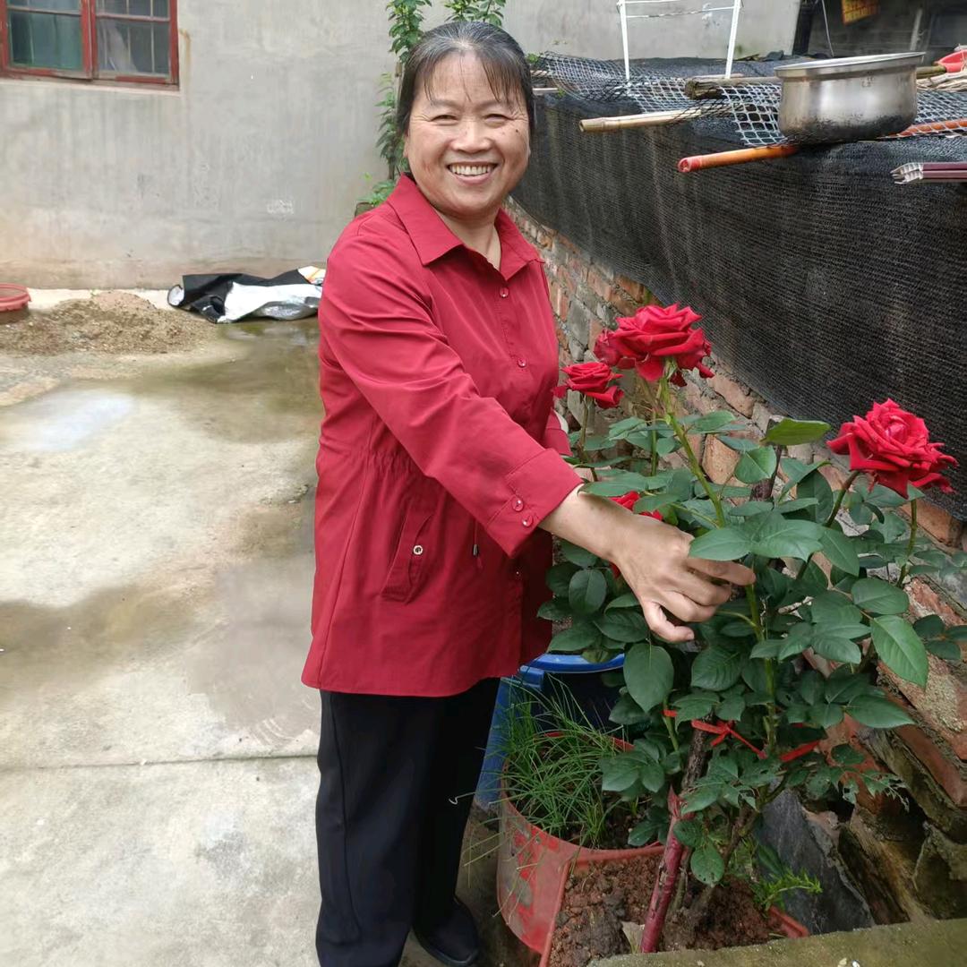 美丽心情