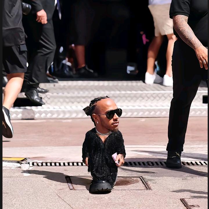 衔哥
