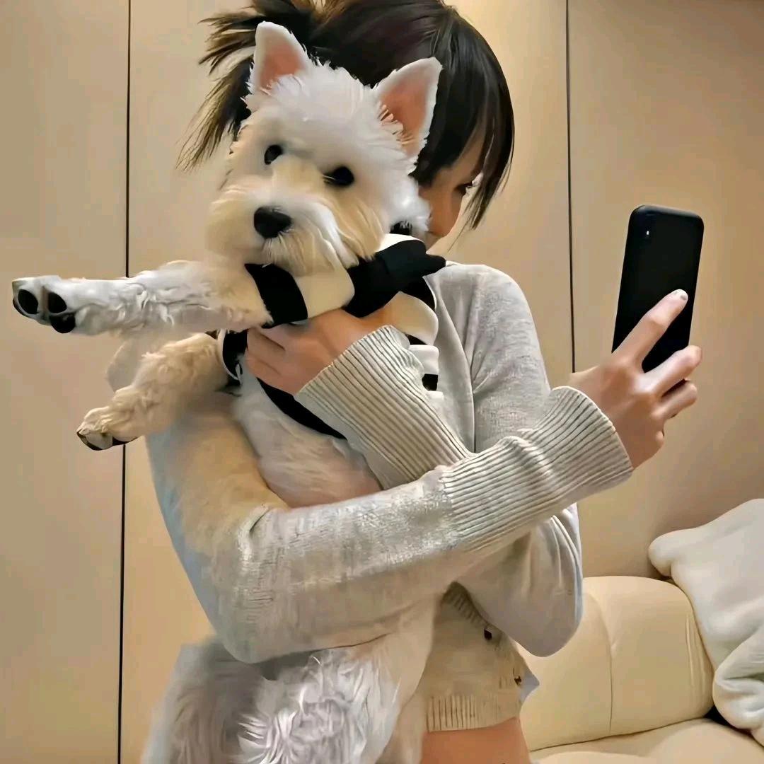移腚～