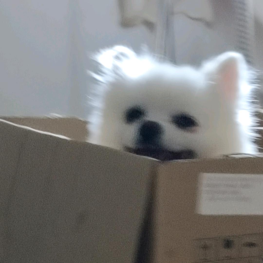 尹安七