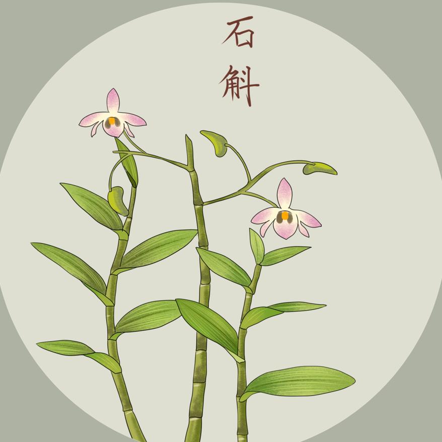 识本草
