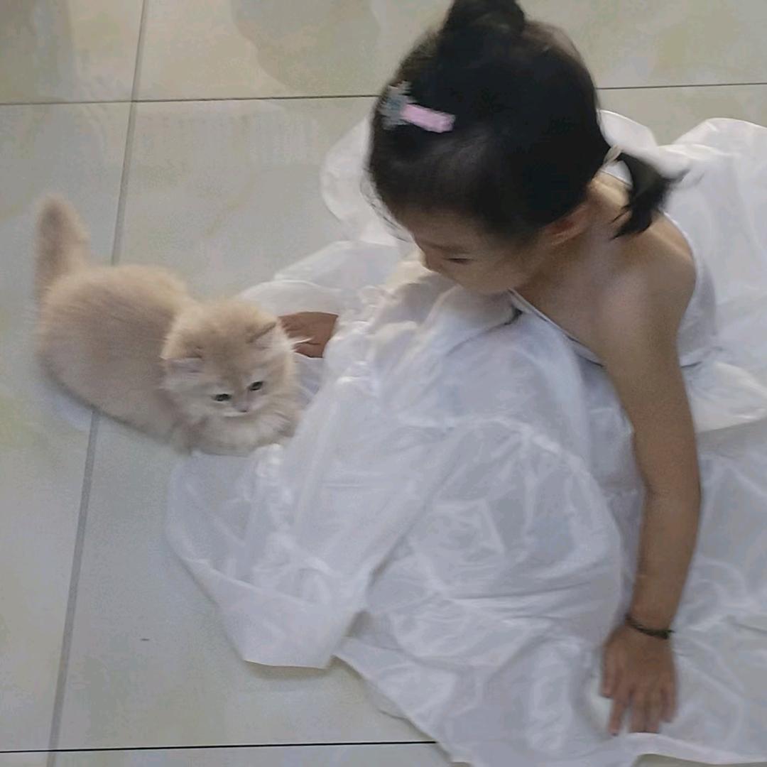 多多是只猫