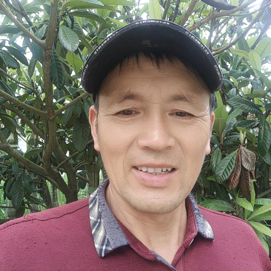 胡半仙