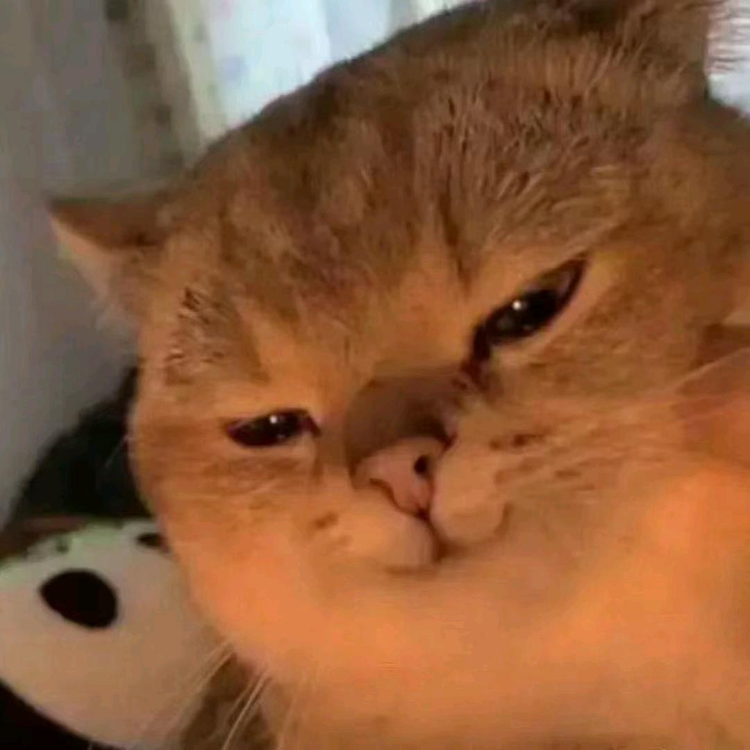 三眼狂生头像