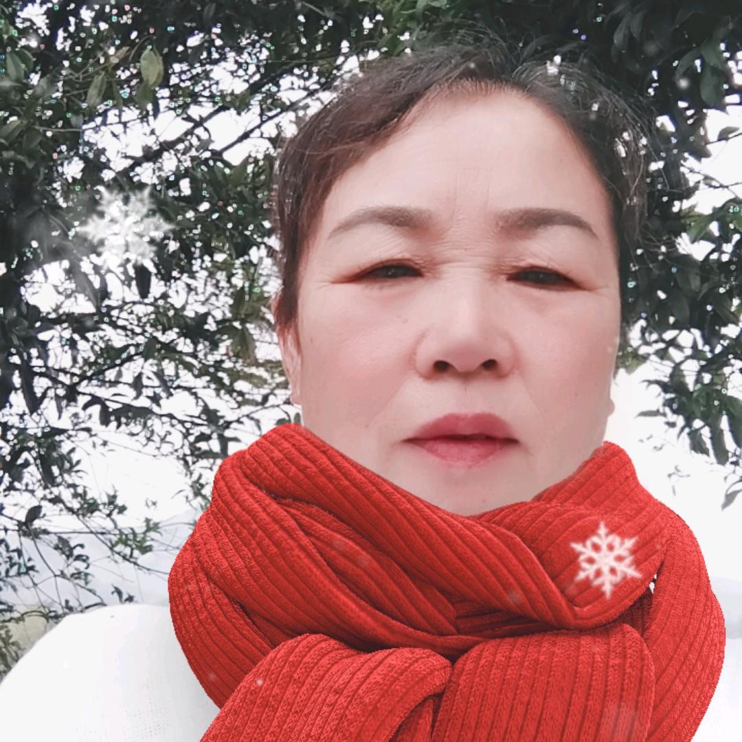 回忆录，