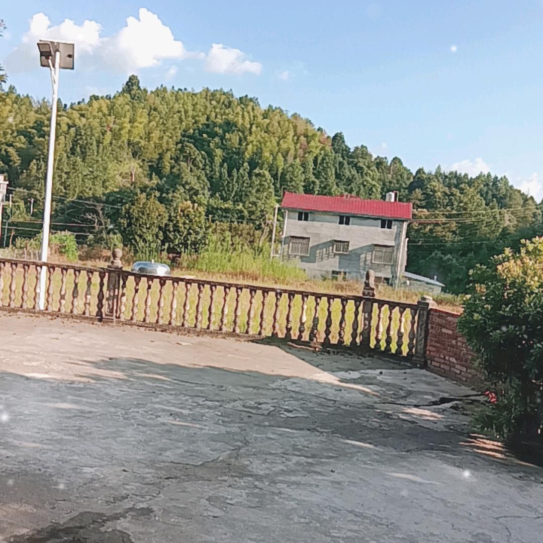 水沐年华