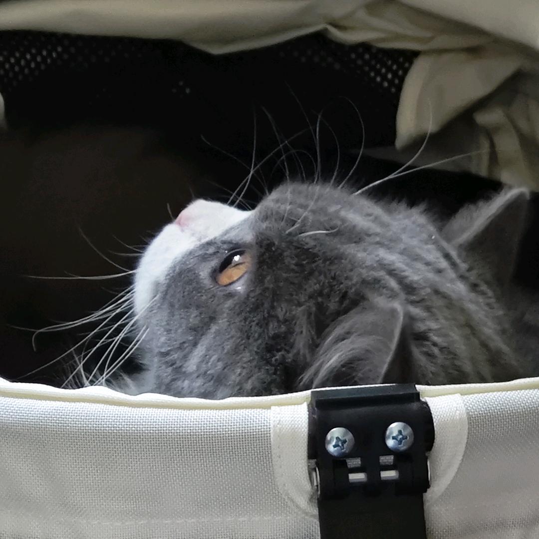 飞鸽传书联系吧