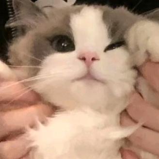 Yy.