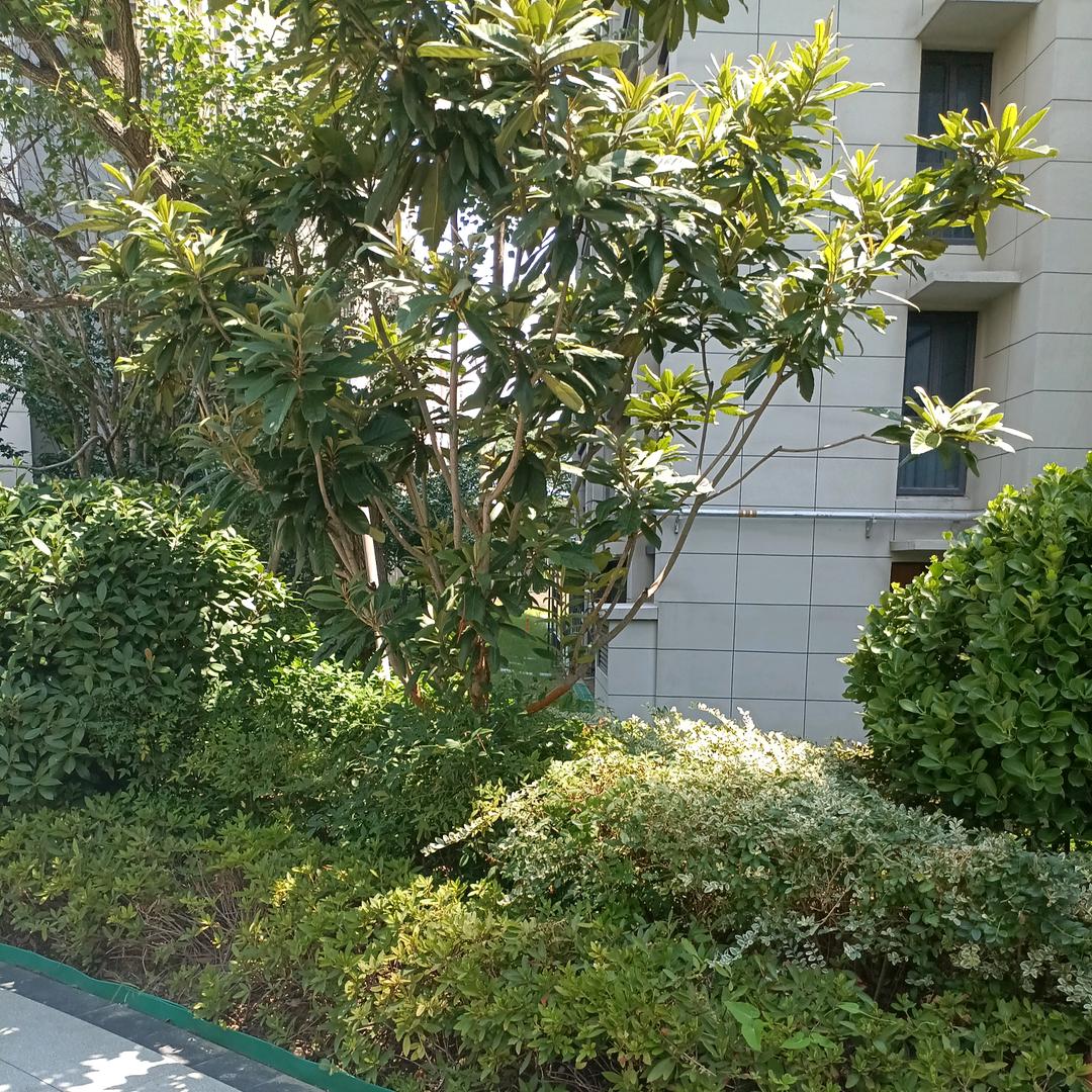 喜欢和你在一起