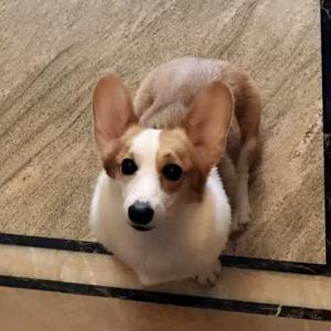 。。。（许嵩见过版）