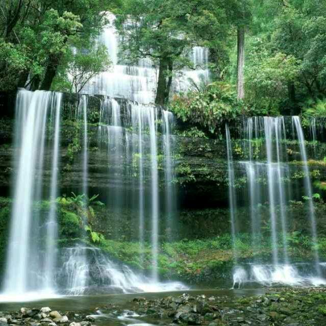 高山流水
