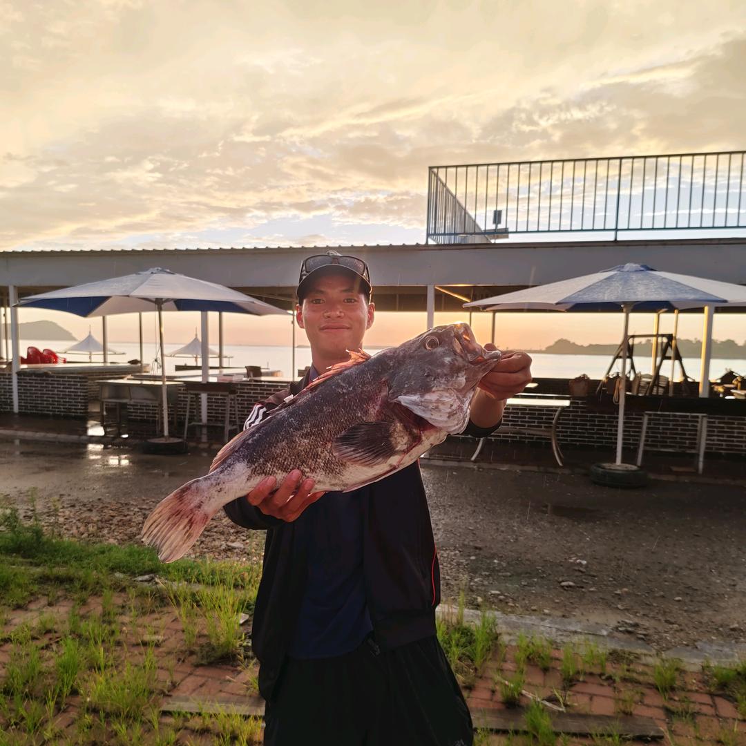 杉菜（海钓 渔轮保养）