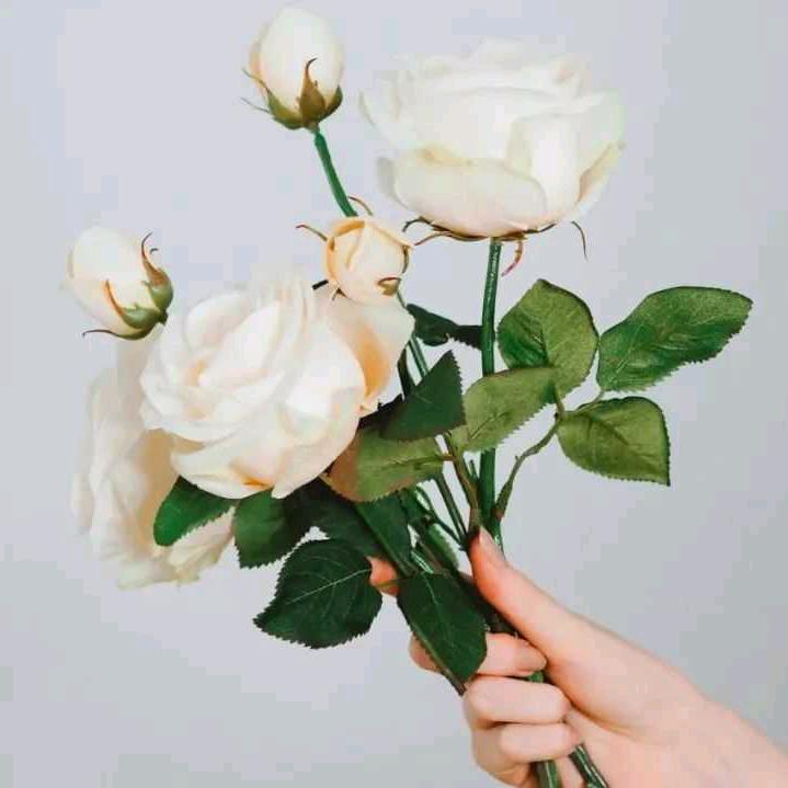 西吉鲜花婚庆通